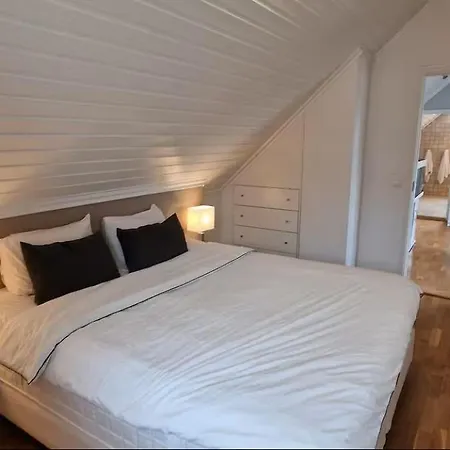 Luxury Scandinavian 3-bedroom House Near Ons With Parking Villa
